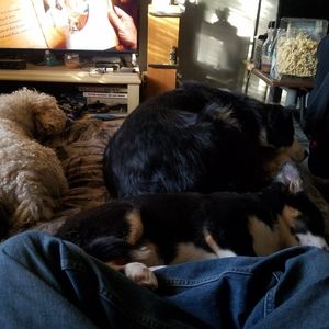 Meet your Posher, Mike